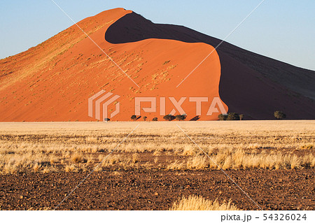 Sand dunes in the pan of Sossusvlei in Namibia. Africa. 54326024