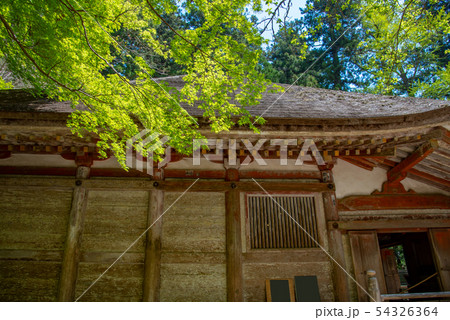 奈良県　女人高野　新緑の室生寺　金堂 54326364