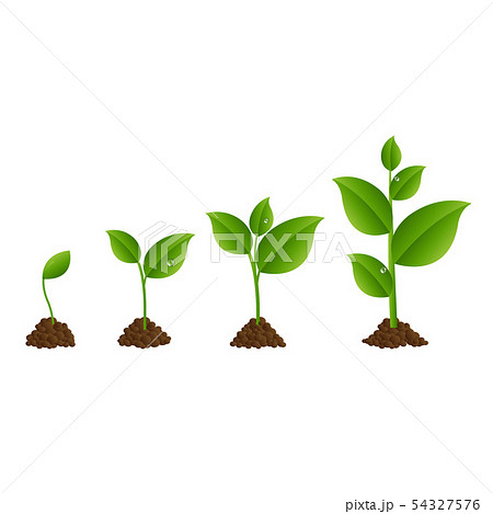 Green Sprout Set Green Sprout Set 54327576