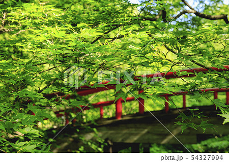 伊香保温泉 河鹿橋 伊香保温泉 河鹿橋 54327994
