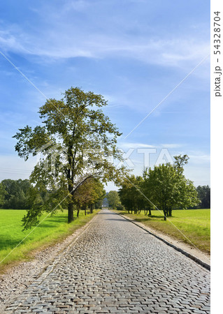 Cobble stone road shot in Poland 54328704