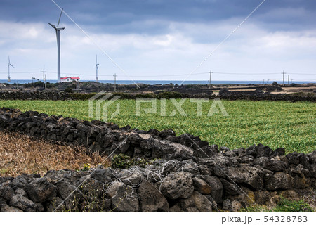 石 植物 雲 54328783