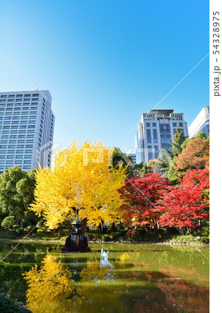日比谷公園の秋 54328975