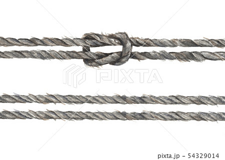 Set Of Gray Rope String With Knot Watercolor のイラスト素材