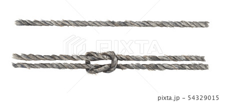 Set Of Gray Rope String With Knot Watercolor のイラスト素材