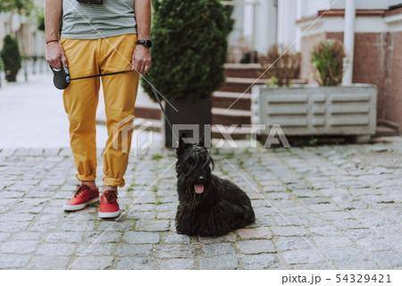 Adult man walking with black dog outdoors Adult man walking with black dog outdoors 54329421