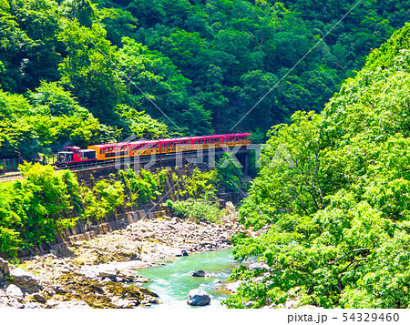 新緑の嵯峨野トロッコ列車 54329460