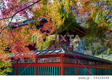 東京紅葉の高尾山薬王院 本社権現堂 54329599