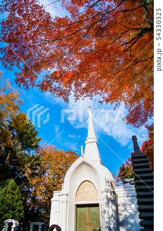 東京 紅葉の高尾山薬王院 仏舎利塔 54330325