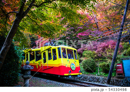 東京 紅葉の高尾山 ケーブルカー 東京 紅葉の高尾山 ケーブルカー 54330498