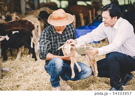 countryside farm countryside farm 54333957