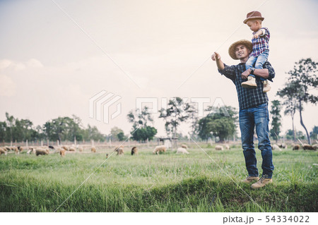 countryside farm 54334022