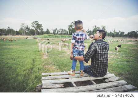 countryside farm countryside farm 54334026
