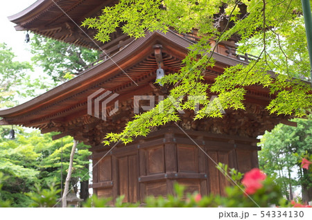 世田谷　豪徳寺　新緑　三重塔 54334130