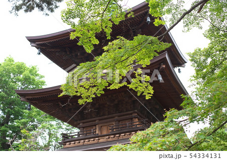 世田谷 豪徳寺 新緑 三重塔 世田谷 豪徳寺 新緑 三重塔 54334131