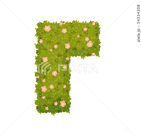 Bush in the shape of a corner. View from above. Vector illustration on white background. 54334308