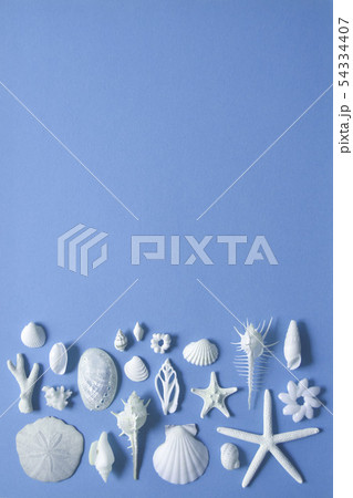貝のネイチャー素材 貝のネイチャー素材 54334407