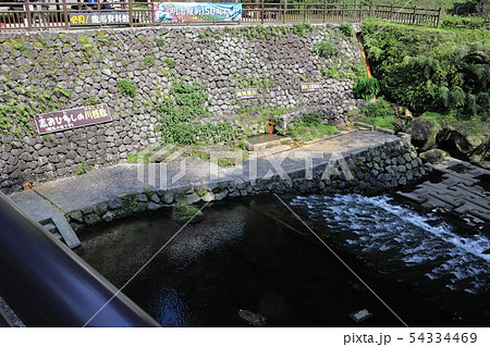 塩浸温泉龍馬公園 54334469