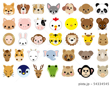 動物アイコンセット 動物アイコンセット 54334545