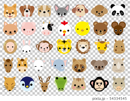 動物アイコンセット 動物アイコンセット 54334545