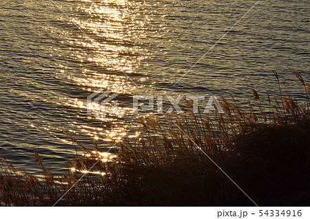 夕暮れ 54334916