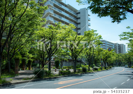 枚方 香里ヶ丘けやき通り 54335237