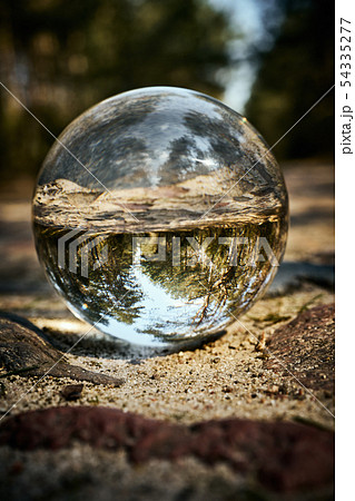 Upside down landscape of beautiful sunny forest Upside down landscape of beautiful sunny forest 54335277