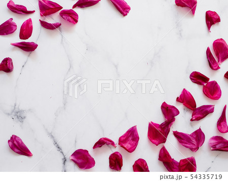 Flat lay pattern with peony petails, white marble 54335719