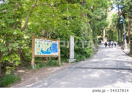 高尾山 高尾山薬王院 表参道 登山道一号路 登山口付近の風景 高尾山 高尾山薬王院 表参道 登山道一号路 登山口付近の風景 54337814