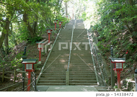 高尾山 高尾山薬王院 表参道 108段の男坂 高尾山 高尾山薬王院 表参道 108段の男坂 54338472