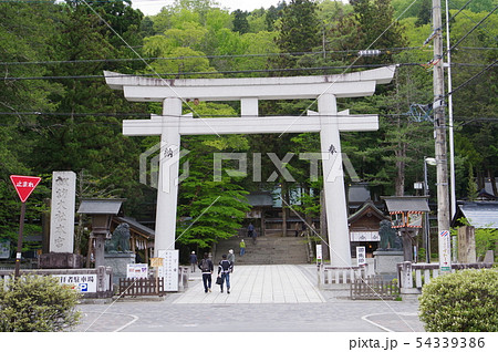 信州　上諏訪　諏訪神社上社　参道と大鳥居　全国の諏訪神社の総本山　６年に一度の御柱祭で有名 54339386