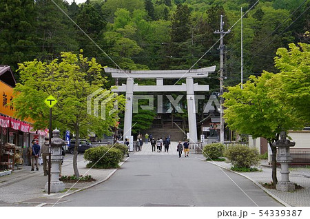 信州　上諏訪　諏訪神社上社　参道と大鳥居　全国の諏訪神社の総本山　６年に一度の御柱祭で有名 54339387