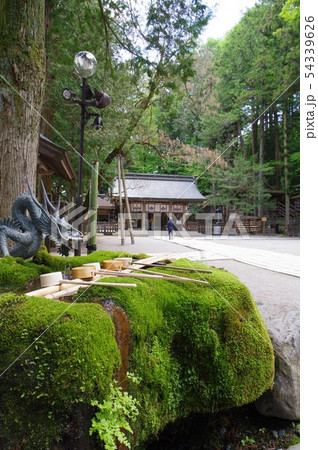信州 上諏訪 諏訪神社上社 苔手水と境内拝所 全国の諏訪神社の総本山 7年に一度の御柱祭で有名 信州 上諏訪 諏訪神社上社 苔手水と境内拝所 全国の諏訪神社の総本山 7年に一度の御柱祭で有名 54339626