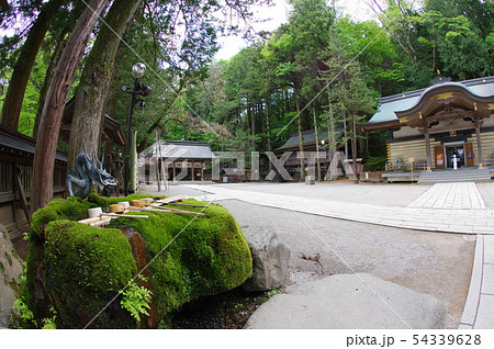 信州 上諏訪 諏訪神社上社 苔手水と境内拝所 超広角 全国の諏訪神社の総本山 御柱祭で有名 信州 上諏訪 諏訪神社上社 苔手水と境内拝所 超広角 全国の諏訪神社の総本山 御柱祭で有名 54339628