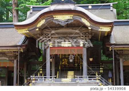 信州　上諏訪　諏訪神社上社　本宮拝殿　全国の諏訪神社の総本山　７年に一度の御柱祭で有名 54339908