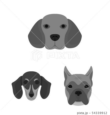 Vector illustration of cute and puppy symbol. Collection of cute and animal stock symbol for web. 54339912