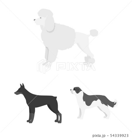 Vector design of cute and puppy icon. Set of cute and animal stock symbol for web. 54339923