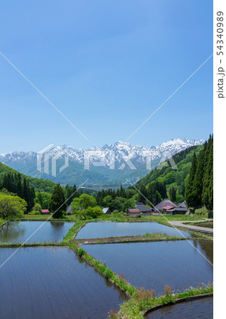 青鬼集落:初夏の棚田 北安曇郡白馬村 青鬼集落:初夏の棚田 北安曇郡白馬村 54340989