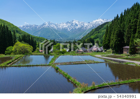 青鬼集落:初夏の棚田 北安曇郡白馬村 青鬼集落:初夏の棚田 北安曇郡白馬村 54340991