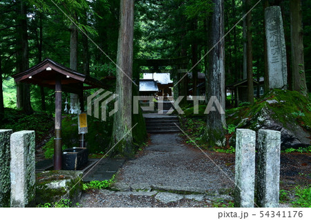 北杜市白州町、駒ヶ岳神社竹宇前宮手水場から杉木立の参道 北杜市白州町、駒ヶ岳神社竹宇前宮手水場から杉木立の参道 54341176