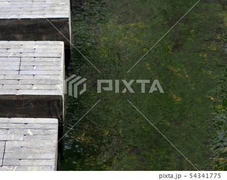 modern minimal style landscape backyard pond 54341775