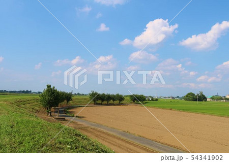 風景 田舎 道 初夏 空 渡良瀬 杤木 風景 田舎 道 初夏 空 渡良瀬 杤木 54341902