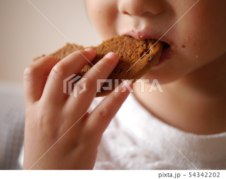 クッキー3 クッキー3 54342202