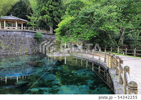 丸池湧水（日本名水百選） 54342255