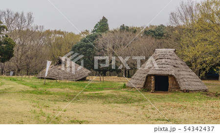 春の加曽利貝塚の風景 春の加曽利貝塚の風景 54342437