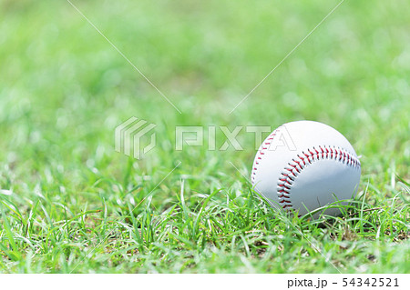 野球イメージ　ボール 54342521