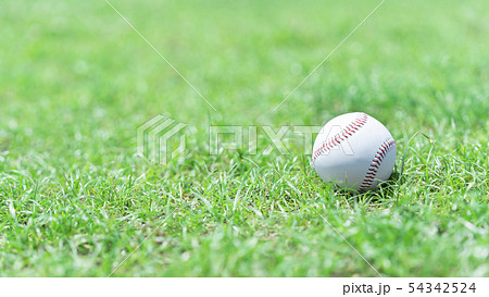 野球イメージ ボール 野球イメージ ボール 54342524