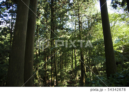 比叡山　「栄西禅師　ご修行の地」 54342678