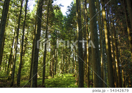 比叡山 「栄西禅師 ご修行の地」 比叡山 「栄西禅師 ご修行の地」 54342679