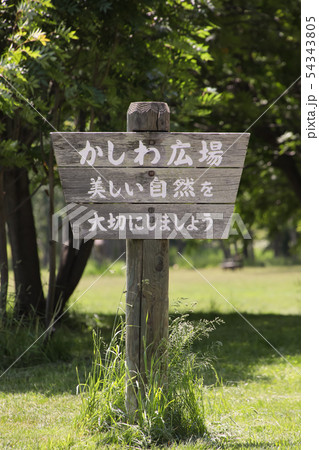 看板　公園　芝生　緑　案内　新緑 54343805